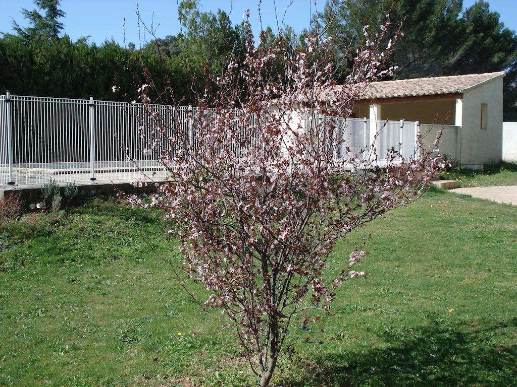 B&B L'Oustalet De Sylvie Villeneuve-lès-Avignon Eksteriør bilde